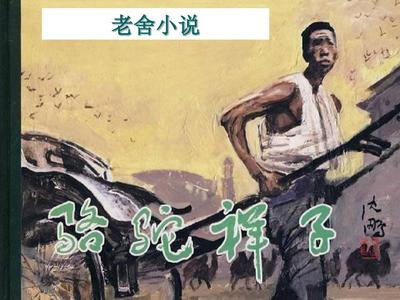 中华小狼友